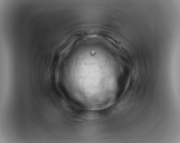 X0000113540424200910021353