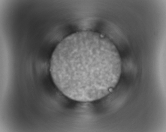 X0000113540427200910021353