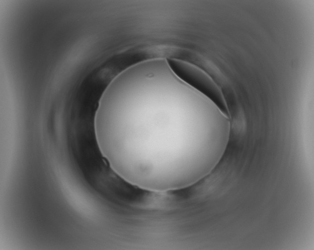 X0000113540429200910021353