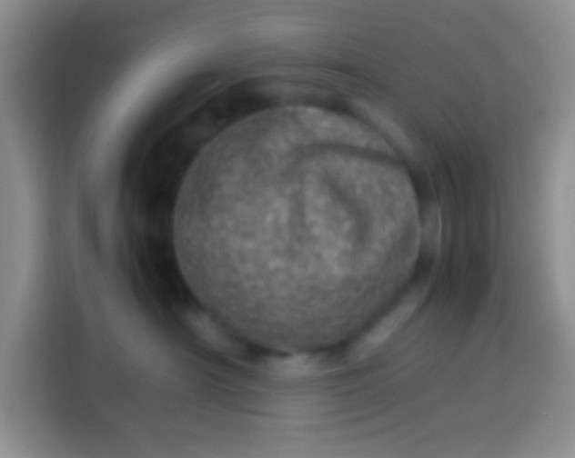 X0000113540430200910021353