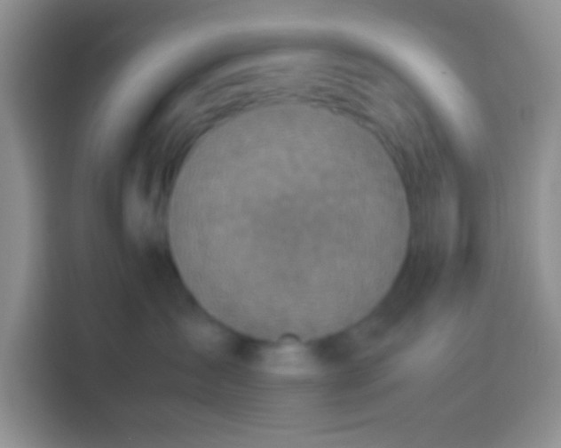 X0000113540431200910021353