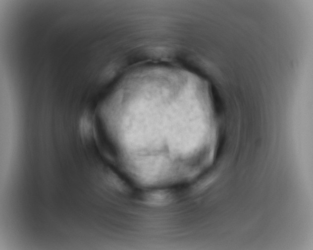 X0000113540432200910021353