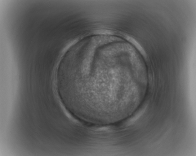 X0000113540433200910021352