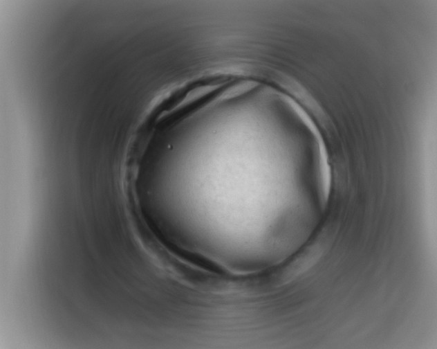 X0000113540434200910021352