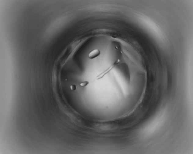 X0000113540435200910021352