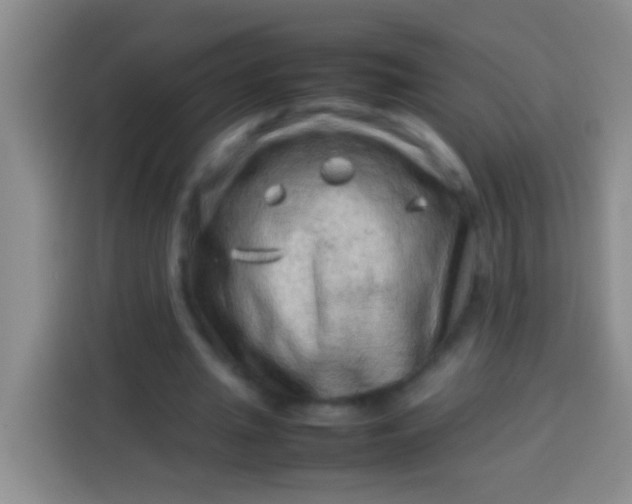 X0000113540437200910021352