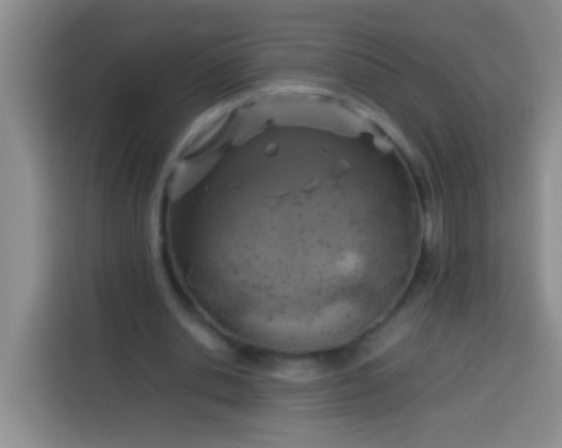 X0000113540438200910021352