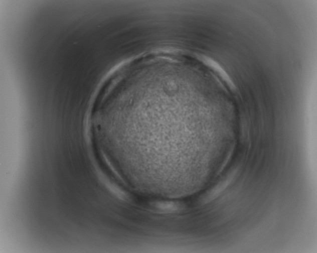 X0000113540439200910021352