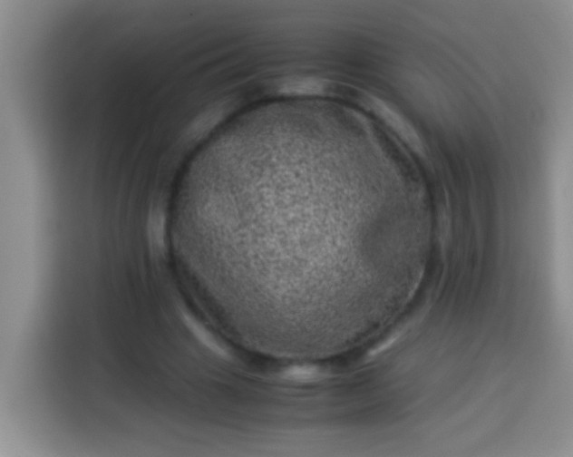 X0000113540441200910021353