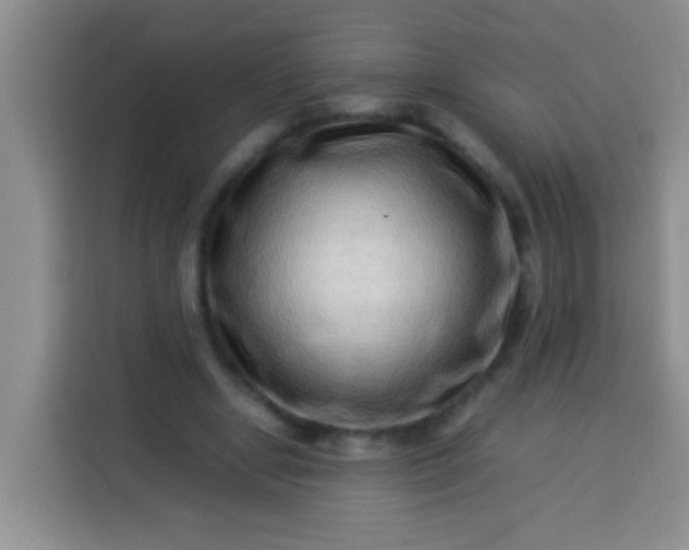 X0000113540442200910021353