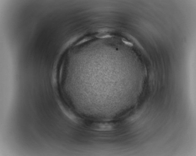 X0000113540443200910021353