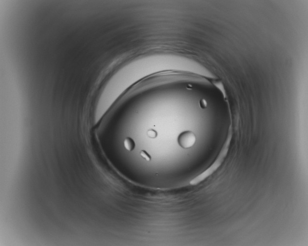 X0000113540444200910021353