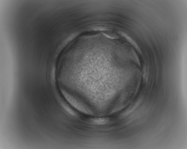 X0000113540445200910021353