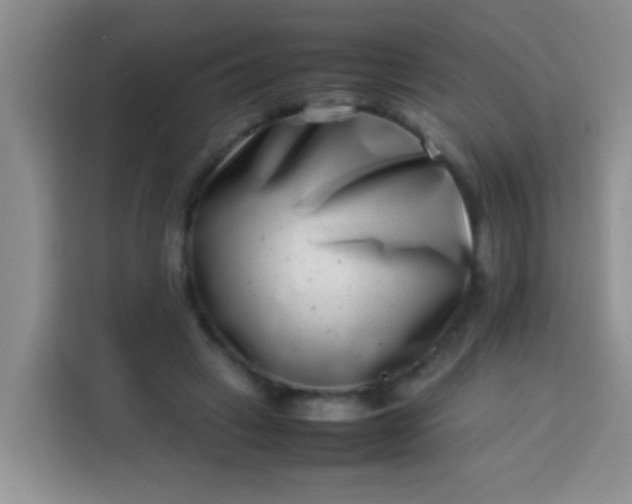 X0000113540449200910021353