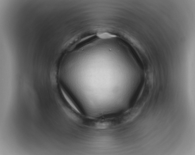 X0000113540450200910021353