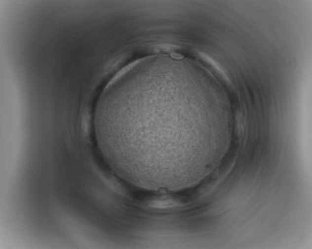 X0000113540451200910021353