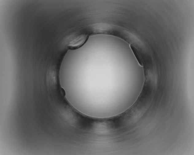 X0000113540452200910021353