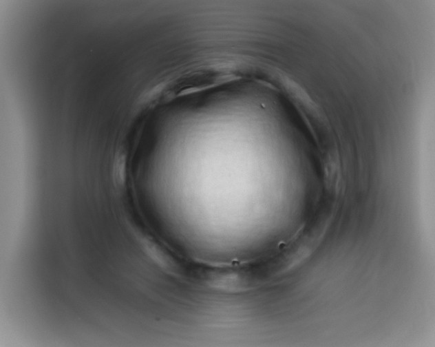 X0000113540454200910021353