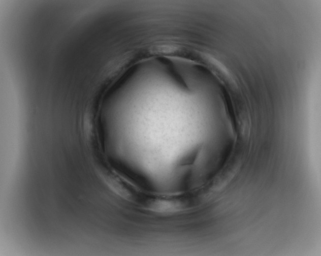 X0000113540455200910021353