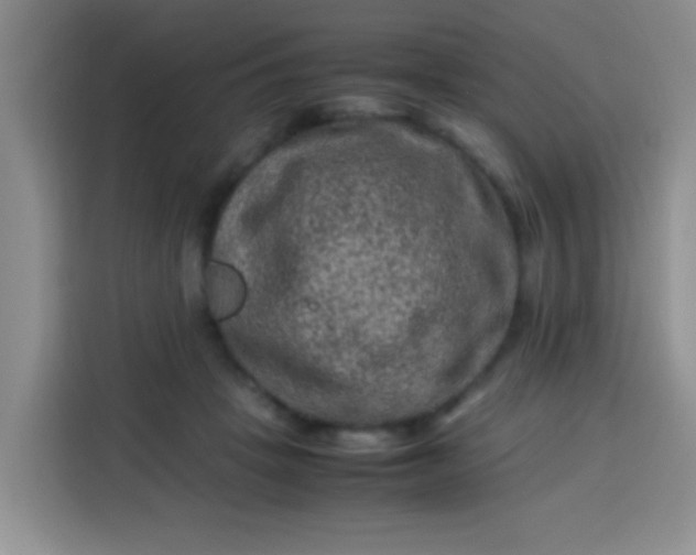 X0000113540457200910021353