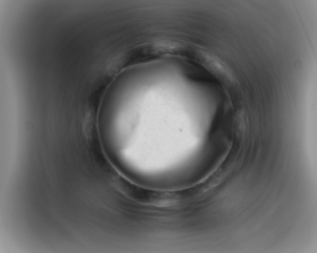 X0000113540463200910021353