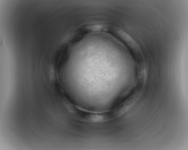 X0000113540469200910021353