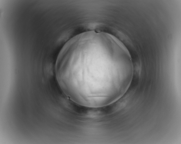 X0000113540470200910021353