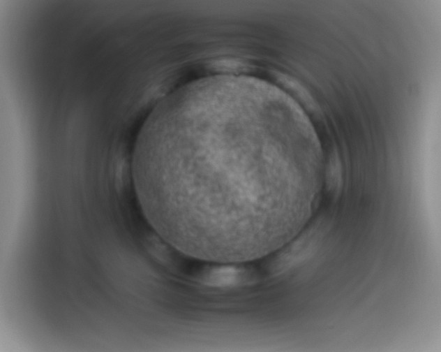 X0000113540473200910021353