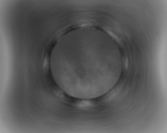 X0000113540475200910021353