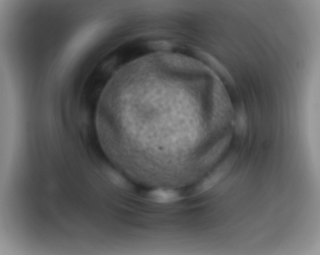 X0000113540477200910021353