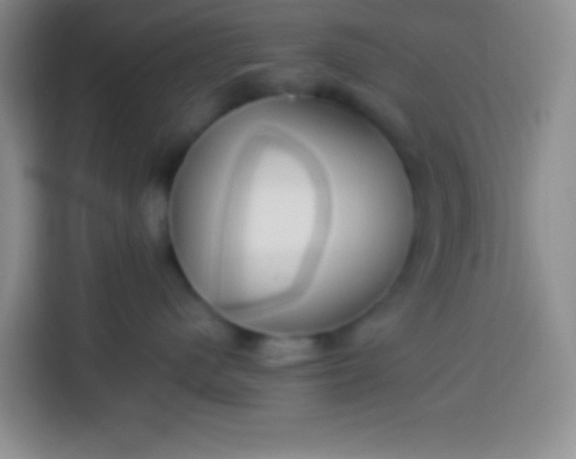 X0000113540480200910021353