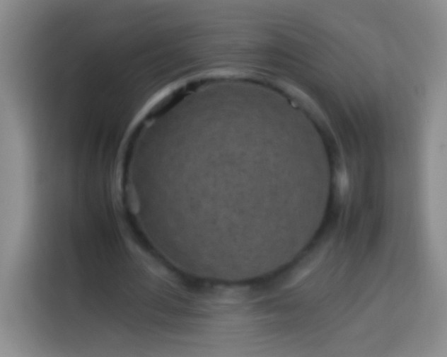 X0000113540484200910021352