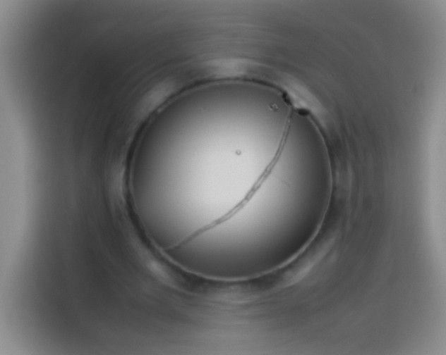 X0000113540485200910021352