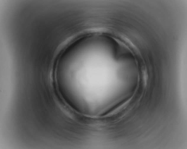 X0000113540486200910021352