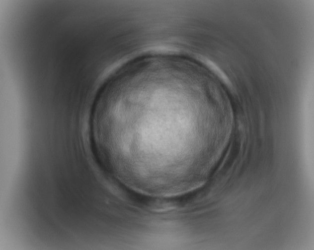 X0000113540487200910021352