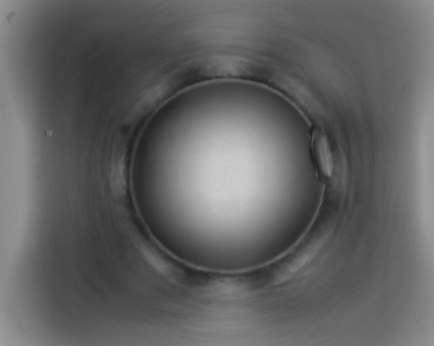 X0000113540489200910021352