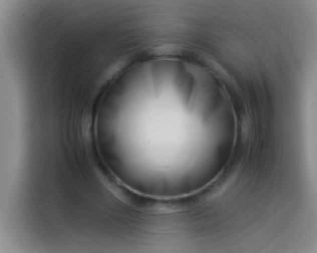 X0000113540490200910021352