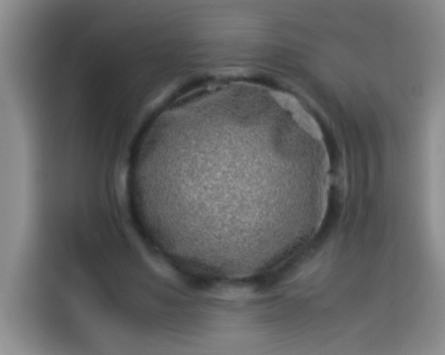 X0000113540491200910021352