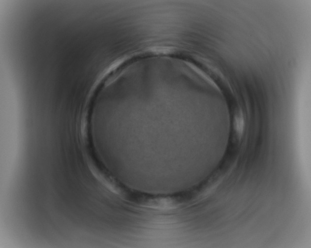 X0000113540492200910021352