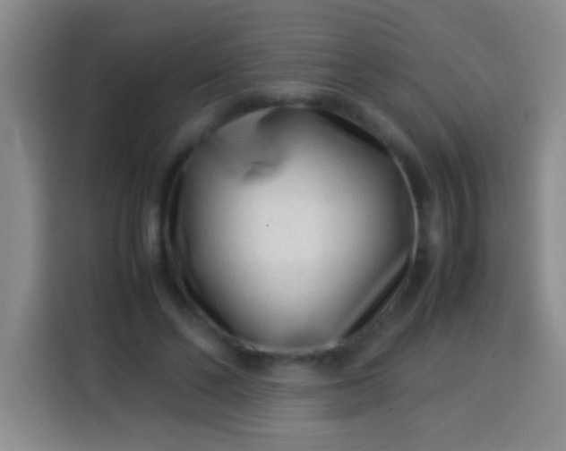 X0000113540494200910021352