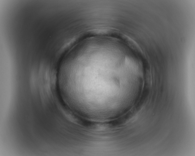 X0000113540495200910021352