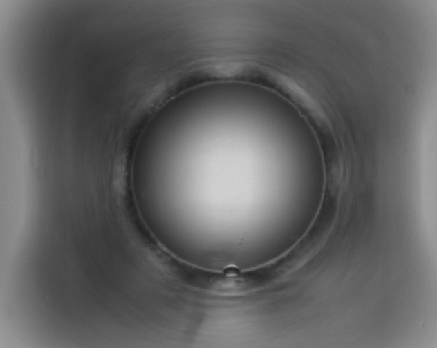 X0000113540497200910021352