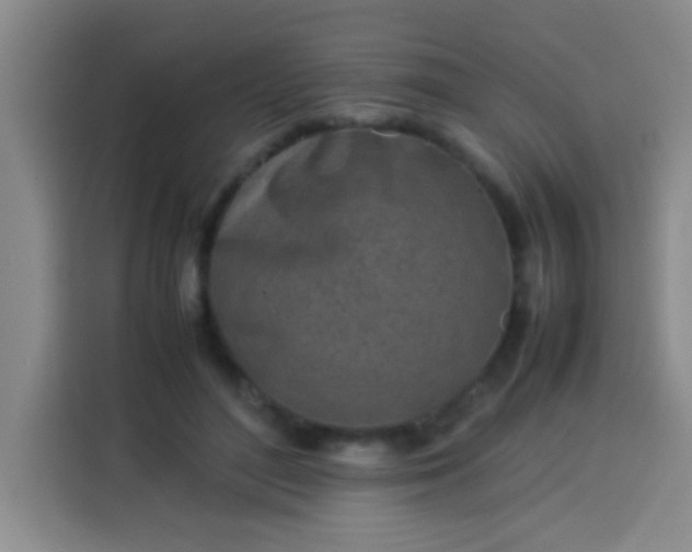 X0000113540500200910021352