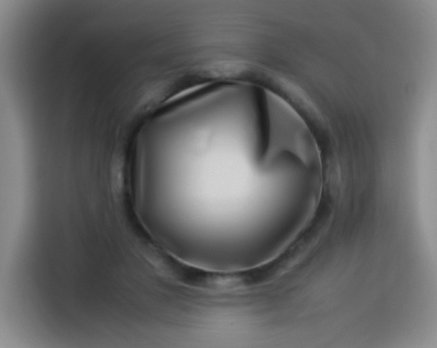 X0000113540501200910021352