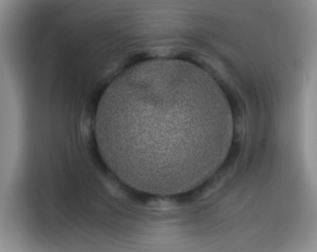 X0000113540503200910021352