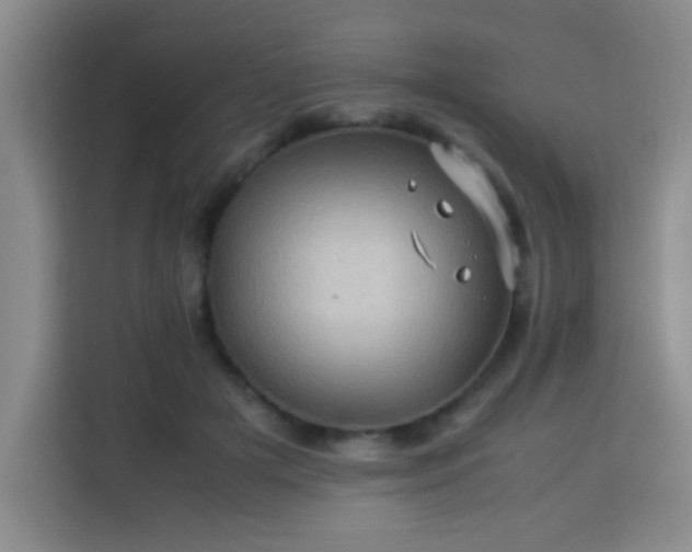 X0000113540505200910021352