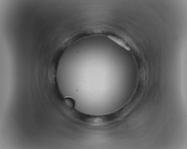 X0000113540509200910021352