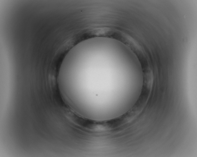 X0000113540510200910021352