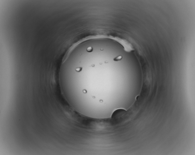 X0000113540512200910021352