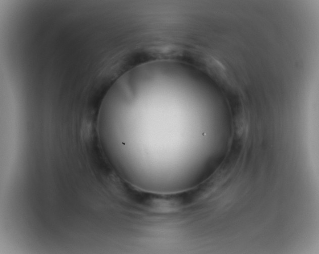 X0000113540515200910021352